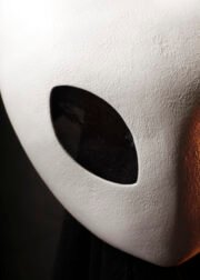 Hallow Knight - Image 5