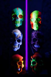 Day of the Dead Skull - obrazek 2