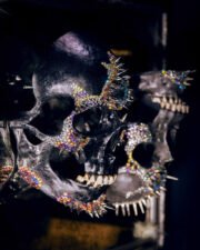Human Skull "For a couple" - Image 3