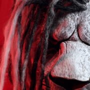 Snow Lion - Image 9