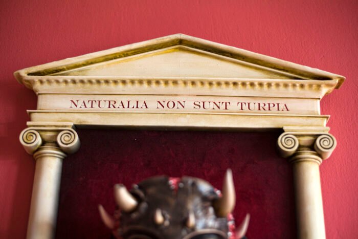Seed of Azazel "Naturalia non sunt turpia" - Image 8