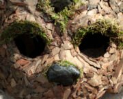Bark Bear - Image 4