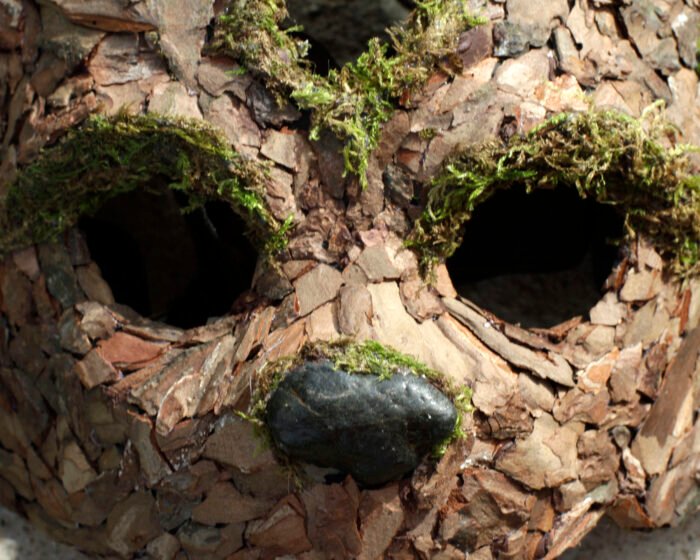 Bark Bear - Image 4