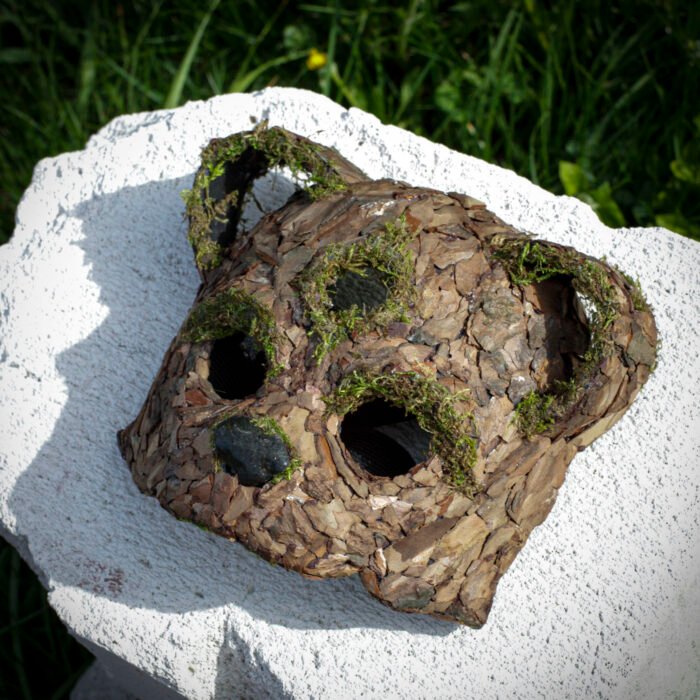Bark Bear - Image 3