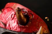 Seed of Azazel "Themis V.1 bloodstone" - Image 7