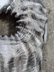 Branding Metal - Image 7